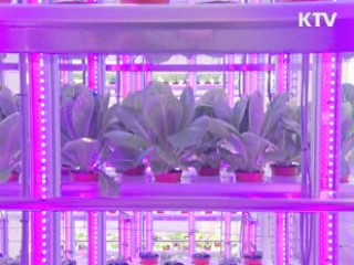 전국 65개 대학, 재직자 특별전형 실시