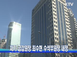 차기 금감원장 최수현 수석부원장 내정