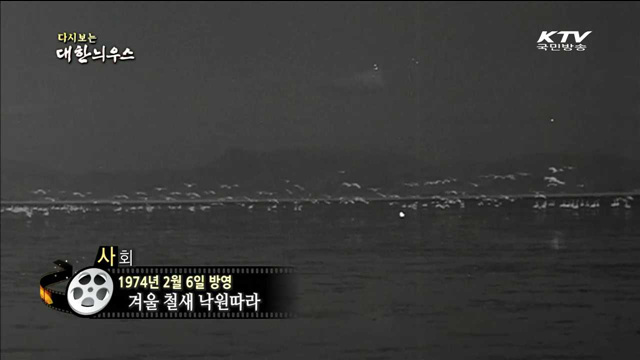 다시보는 대한늬우스 (74.02.06)