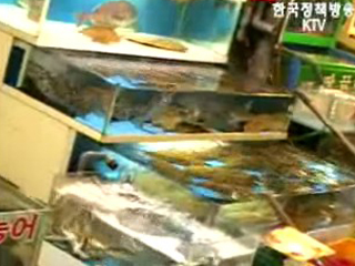 `중국산 새우.메기 등 정밀검사중`