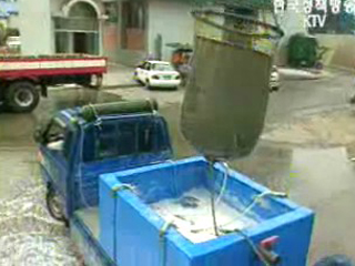 수입수산물 전염병 감염 여부 검역