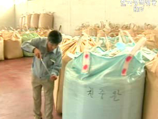 정부 포대벼 250만석 수매시작