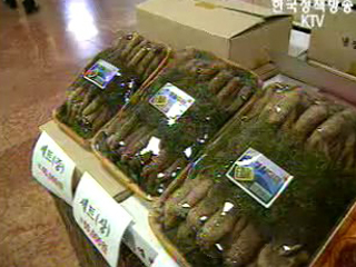 차례상, 시장 12만원,백화점 21만원