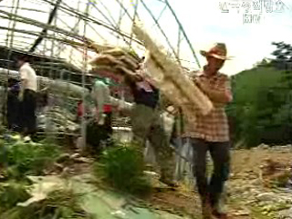 농촌 피해, ‘농민’이 돕는다