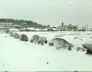폭설피해조사 연장