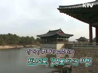 과거와 현재가 공존하는 천년고도, 경주로 떠나는 여행!