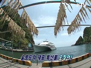 여기는 울릉도 [지금 대한민국]