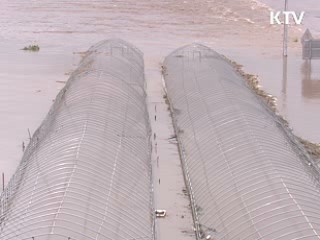 산간계곡 홍수위험 예측시스템 개발
