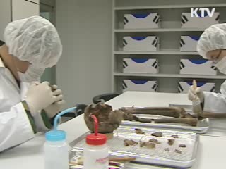 발굴유해, 유전자 확인 늘린다