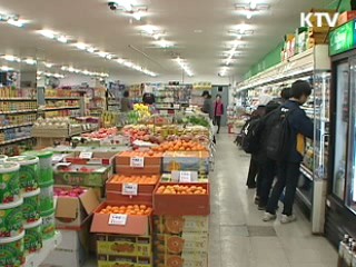 10월 물가 4.1% 상승…11월 안정세 전망