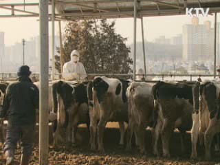 호남·경남지역까지 예방백신 접종 확대