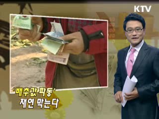 '배추값 파동' 재연 막는다