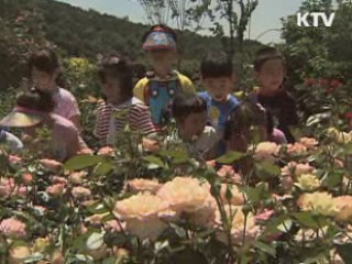 울산시, 장미 115만본 식재 사업 착수