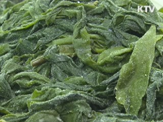 수산물 수출 16억7천만달러…역대 최대