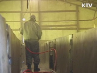 경북 청송 돼지농가 구제역 의심신고 