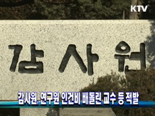 감사원, 연구원 인건비 빼돌린 교수 등 적발