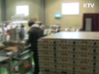 '부화중지란' 등 달걀 유통 집중 단속