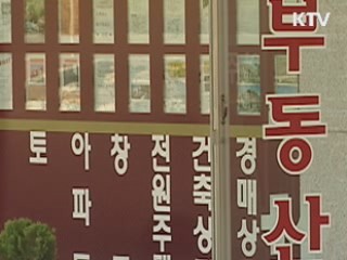 부동산 시장 큰 변화없어···'장기적 효과'