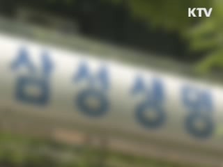 "대기업 금융계열사 일감 몰아주기 검사"