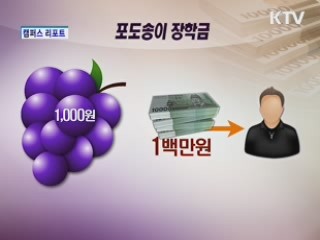 성과제 장학금 포도송이 장학제도 [캠퍼스 리포트]