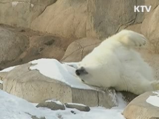 공군기, 자카르타 주택가에 추락