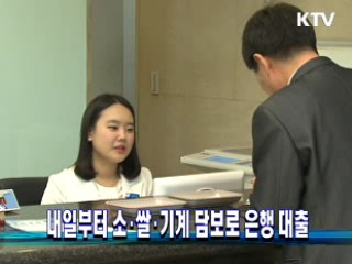 내일부터 소·쌀·기계 담보로 은행 대출