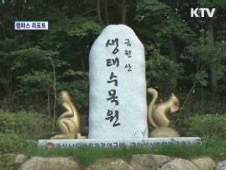 금원산 자연휴양림 [캠퍼스 리포트]