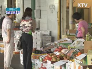 추석물가 집중 관리···성수품 공급 확대