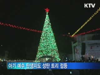 지구촌 곳곳서 불 밝히는 성탄 트리