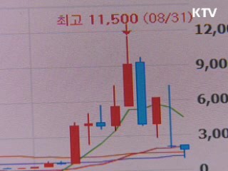 대선 테마주 결국 반토막…'거품 주의'