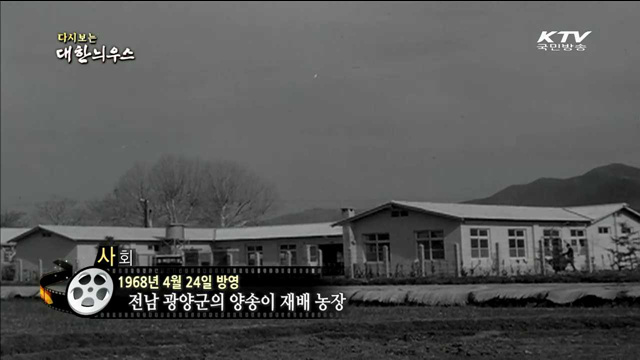 다시보는 대한늬우스 (68.04.24)