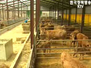 한우, 체질 개선과 품질 고급화가 관건`