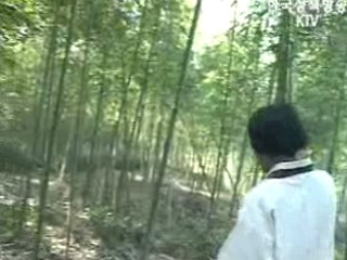 대나무 숨결을 찾아