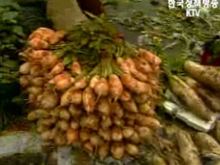 올 김장 비용 10% 이상 감소 예상