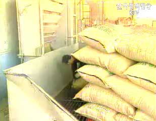 농림부 차관 ‘한미 FTA서 쌀 예외 가능’