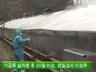 AI 방역조치 모두 해제