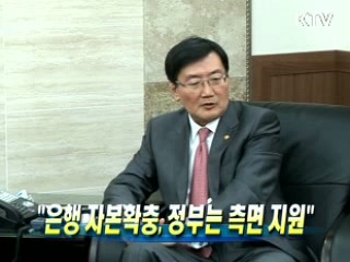 "은행 자본확충, 정부는 측면 지원"