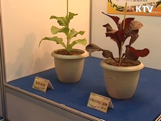 세계최초 마늘 동결보존 기술 개발