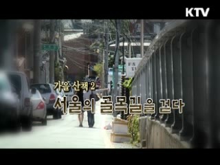 서울의 골목길을 걷다 [대동문화도]