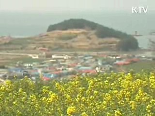 올해 개나리·진달래 이틀 빨리 핀다