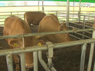 취약산업 경쟁력 강화로 개방 파고 넘는다