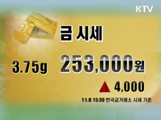 증시정리 환율 금시세