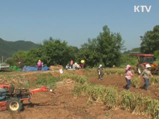도시 근로자·농민 소득 격차 역대 최대