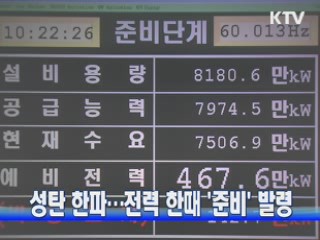 성탄 한파···전력 한때 '준비' 발령