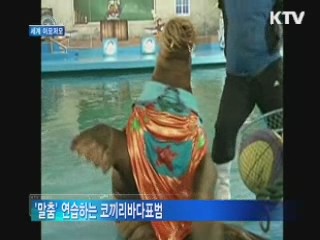 코끼리바다표범도 '말춤' 삼매경