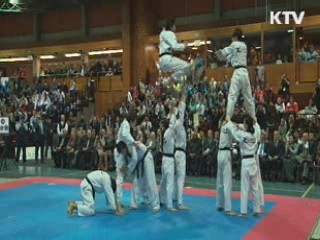 태권도, 하계올림픽 핵심종목 선정…올림픽 잔류