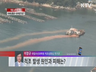 적조 4주째 계속 피해상황과 대처방안은? [라이브 이슈]