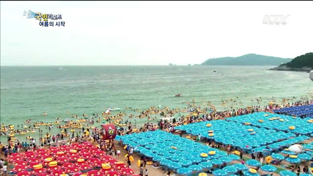 여름 축제 시작, 떠나자 바다로!