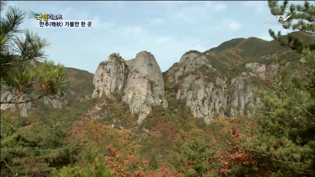 깊어가는 가을…흔들리는 갈대와 억새