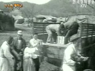 돼지 수출(`62)